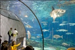 Barcelona Aquarium-15